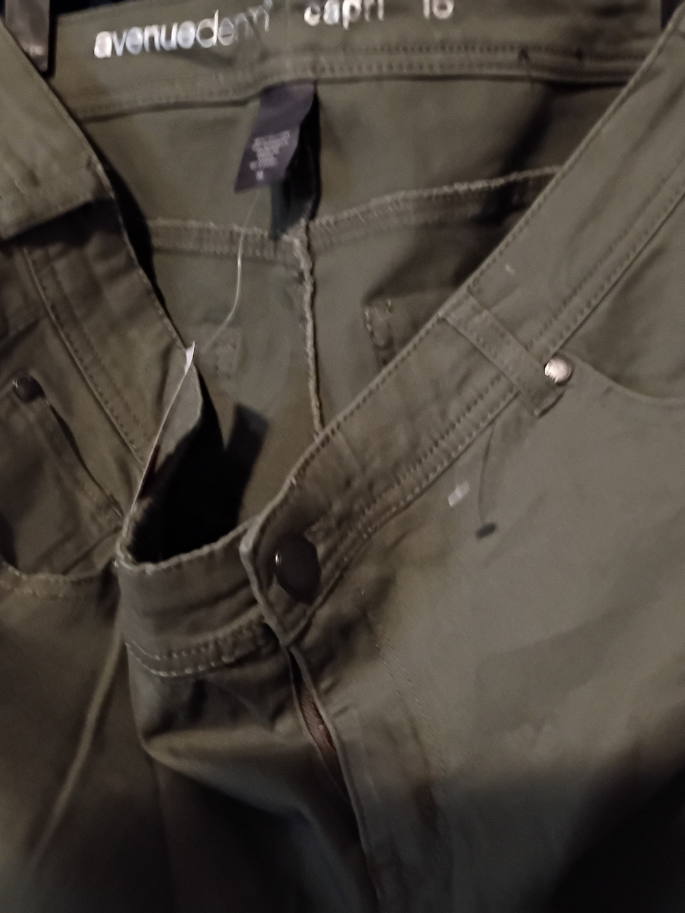 Avenue Olive Green Capris